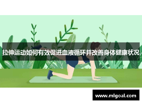 拉伸运动如何有效促进血液循环并改善身体健康状况