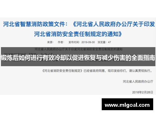 锻炼后如何进行有效冷却以促进恢复与减少伤害的全面指南